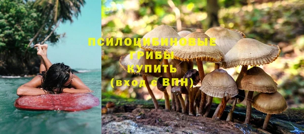 MESCALINE Верхний Тагил