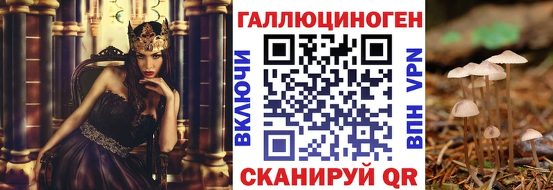Псилоцибиновые грибы Cubensis  Иваново 